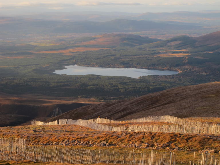 Cairngorms