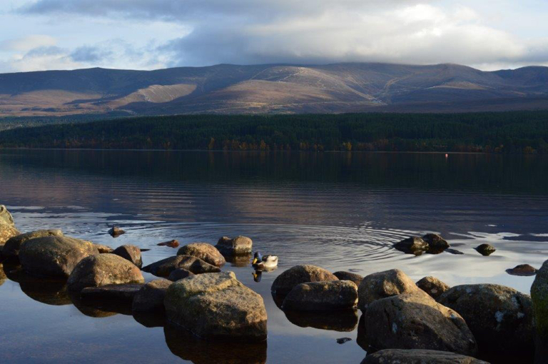 Cairngorms